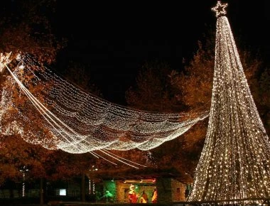 Τα ξεχωριστά έθιμα της Πρωτοχρονιάς στα Δωδεκάνησα -Η «μπουλουστρίνα», τα κώτικα κάλαντα και η σφαγή του μαύρου πετεινού